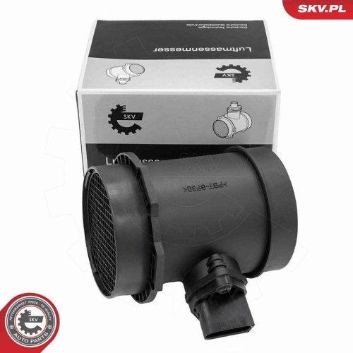 ESEN SKV Luftmassenmesser