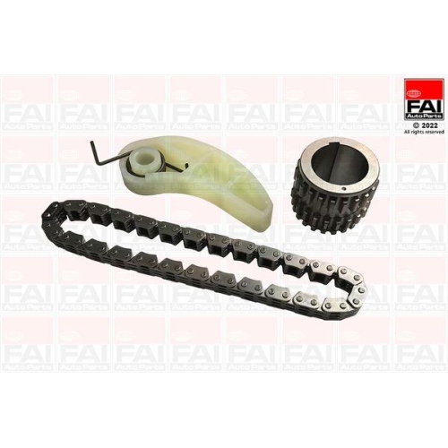 FAI AutoParts Kette, &Ouml;lpumpenantrieb