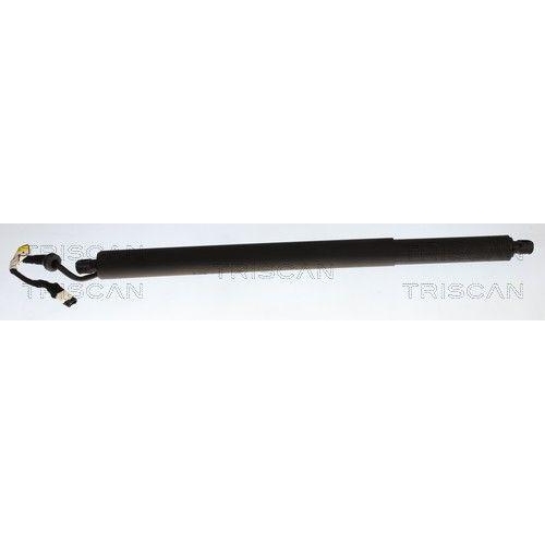 TRISCAN Gasfeder, Koffer-/Laderaum 8710 11385
