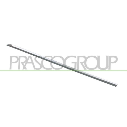 PRASCO Zier-/Schutzleiste, T&uuml;r ME0451454