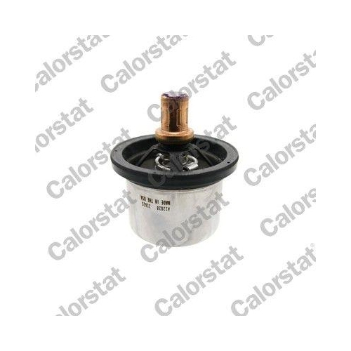 CALORSTAT by Vernet Thermostat, K&uuml;hlmittel THS20007.85