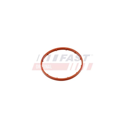 FAST Dichtung, Unterdruckpumpe FT50701