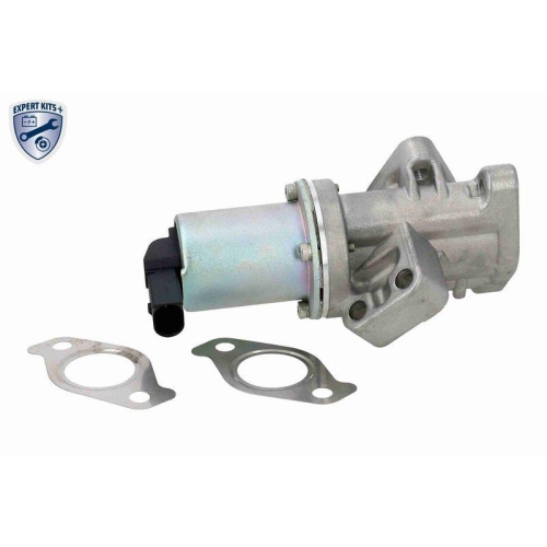 ACKOJA AGR-Ventil EXPERT KITS + A53-63-0007