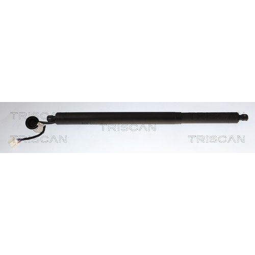 TRISCAN Gasfeder, Koffer-/Laderaum 8710 14301
