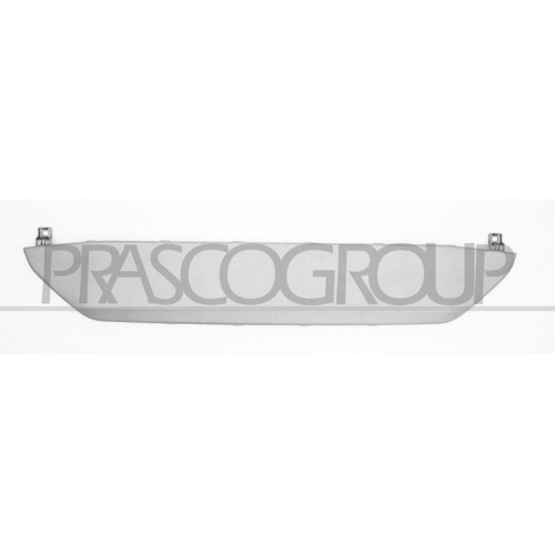 PRASCO Zier-/Schutzleiste, Sto&szlig;f&auml;nger SZ7501245