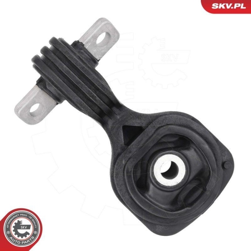 ESEN SKV Lagerung, Motor 75SKV314