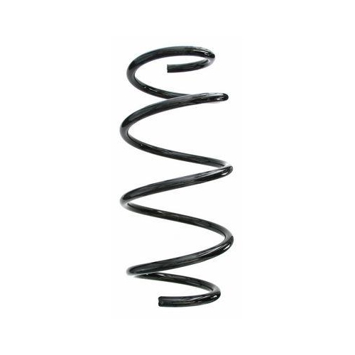 SPIDAN Fahrwerksfeder