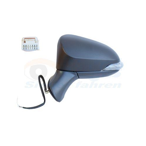 VAN WEZEL Au&szlig;enspiegel * HAGUS * 5422817