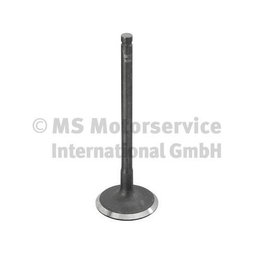 TRW Engine Component Einlassventil 769000