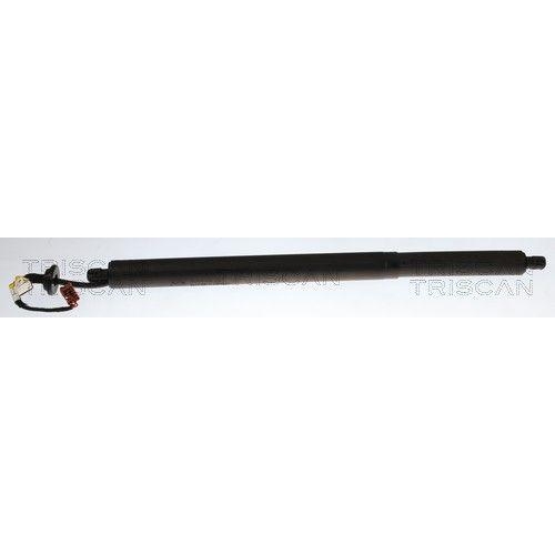 TRISCAN Gasfeder, Koffer-/Laderaum 8710 14302