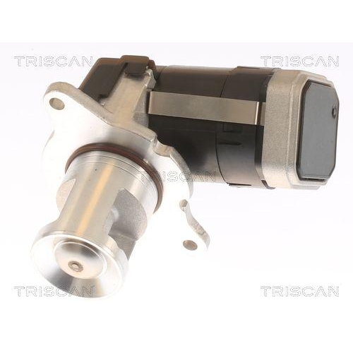TRISCAN AGR-Ventil 8813 23036