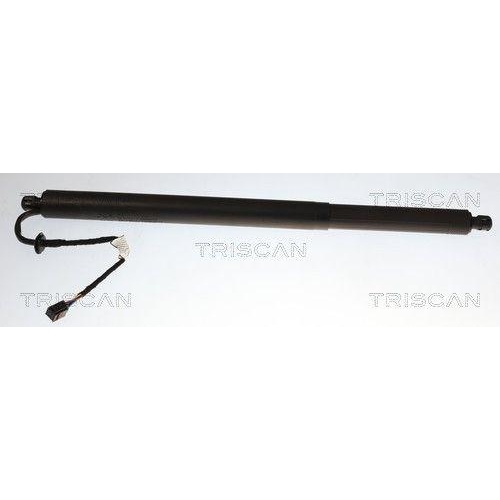 TRISCAN Gasfeder, Koffer-/Laderaum 8710 14303
