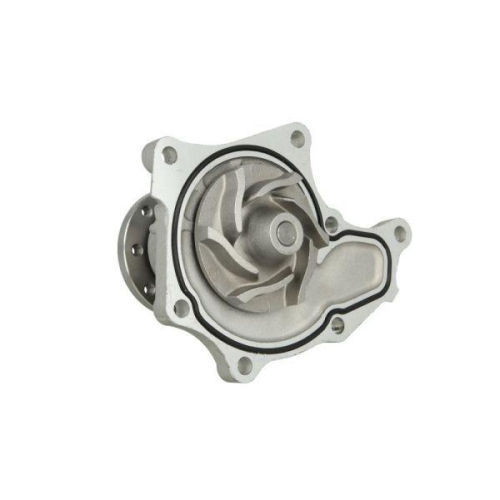 THERMOTEC Wasserpumpe, Motork&uuml;hlung D19024TT