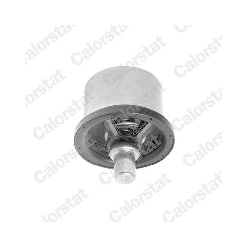CALORSTAT by Vernet Thermostat, K&uuml;hlmittel THS16957.82