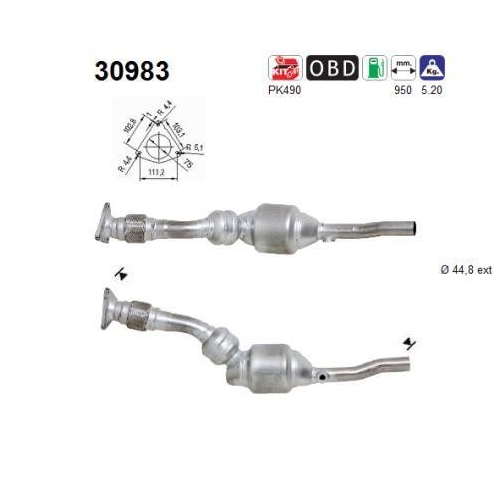 AS Katalysator 30983