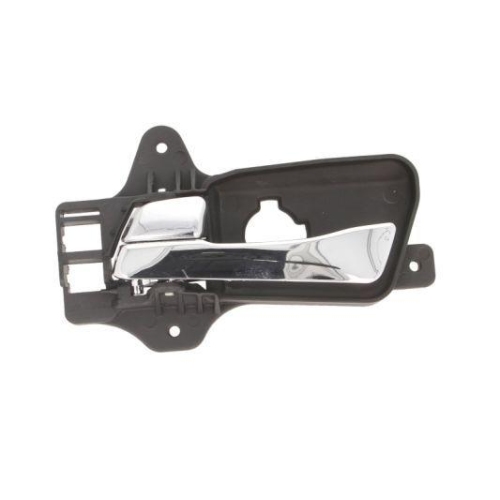 BLIC T&uuml;rgriff, Innenausstattung 6010-20-034409P