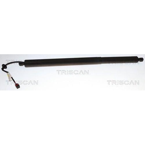 TRISCAN Gasfeder, Koffer-/Laderaum 8710 14304