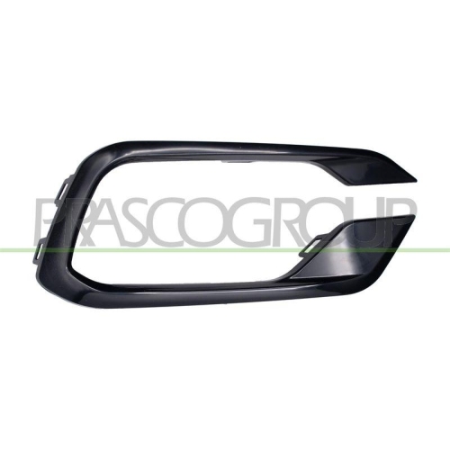 PRASCO L&uuml;ftungsgitter, Sto&szlig;f&auml;nger FT4501233