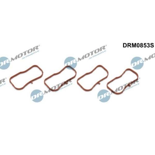Dr.Motor Automotive Dichtungssatz, Ansaugkr&uuml;mmer DRM0853S