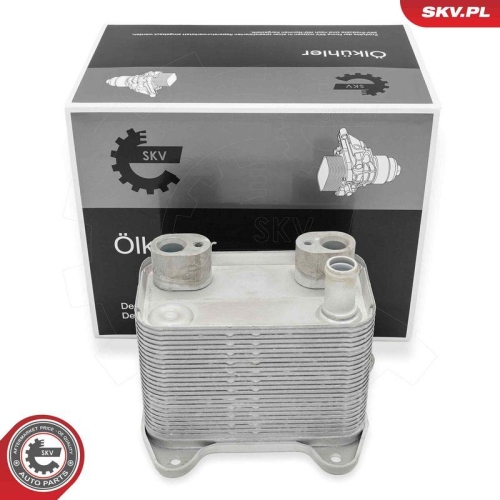 ESEN SKV &Ouml;lk&uuml;hler, Motor&ouml;l 31SKV297