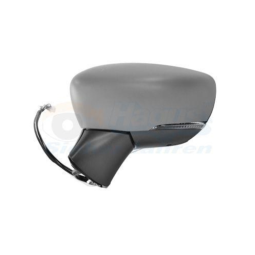 VAN WEZEL Au&szlig;enspiegel * HAGUS * 3336827