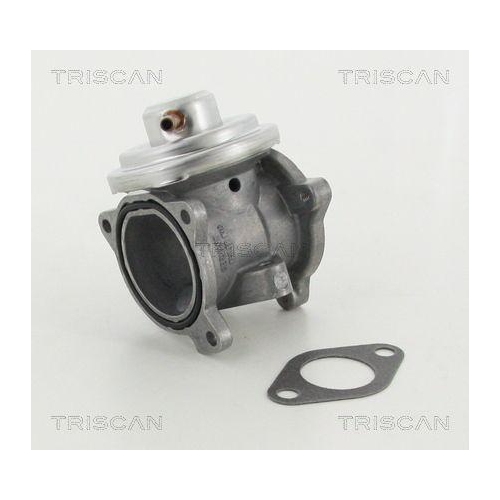 TRISCAN AGR-Ventil 8813 29011