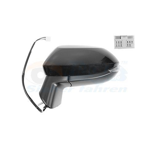 VAN WEZEL Au&szlig;enspiegel * HAGUS * 5415817