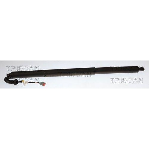 TRISCAN Gasfeder, Koffer-/Laderaum 8710 16318
