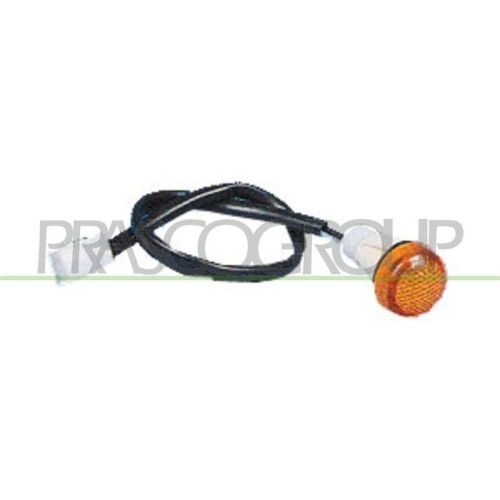 PRASCO Blinkleuchte FT1294039