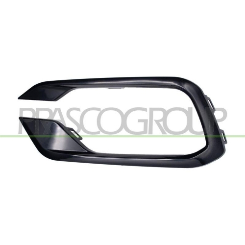 PRASCO L&uuml;ftungsgitter, Sto&szlig;f&auml;nger FT4501234