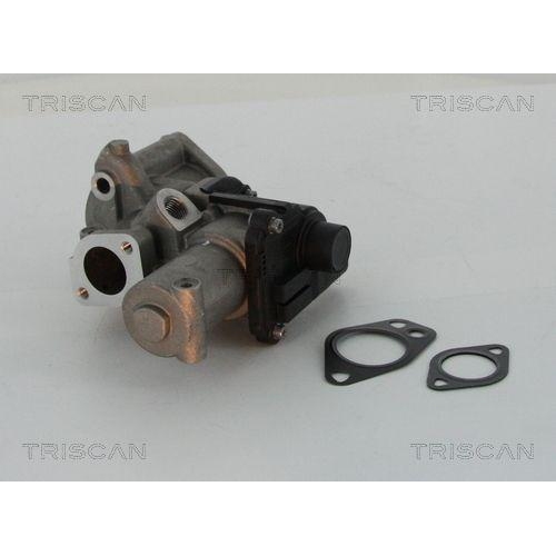 TRISCAN AGR-Ventil 8813 29312