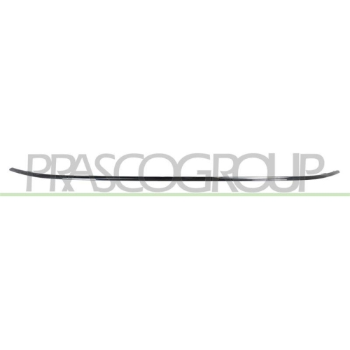 PRASCO Zier-/Schutzleiste, Sto&szlig;f&auml;nger FT4501235