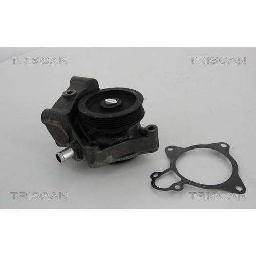 TRISCAN Wasserpumpe, Motork&uuml;hlung 8600 10031