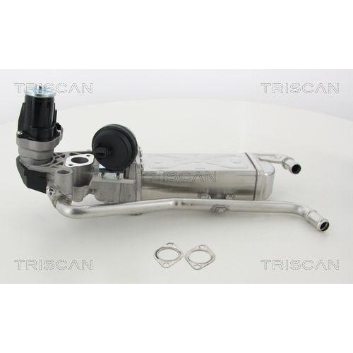 TRISCAN AGR-Ventil 8813 29330
