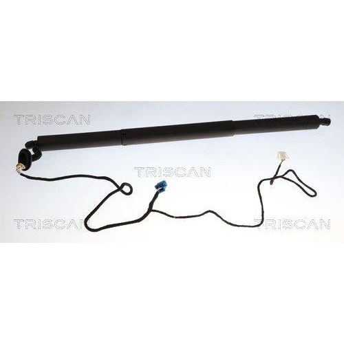 TRISCAN Gasfeder, Koffer-/Laderaum 8710 23315