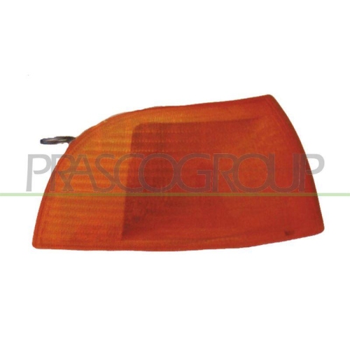 PRASCO Blinkleuchte TYC FT1324003