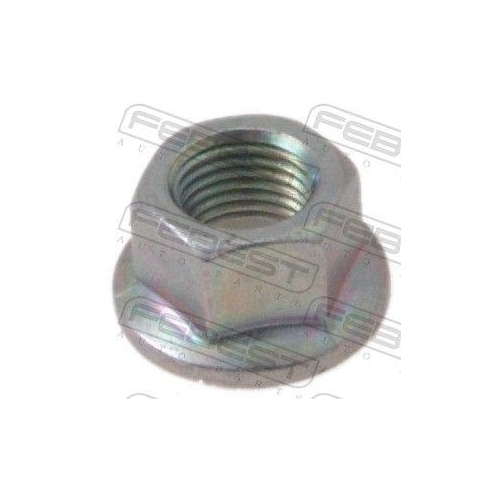 FEBEST Mutter, Achszapfen 0431-001