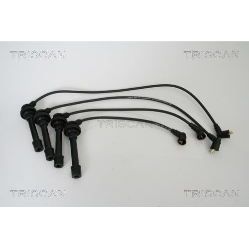 TRISCAN Z&uuml;ndleitungssatz 8860 14002