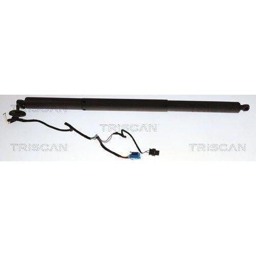 TRISCAN Gasfeder, Koffer-/Laderaum 8710 23317
