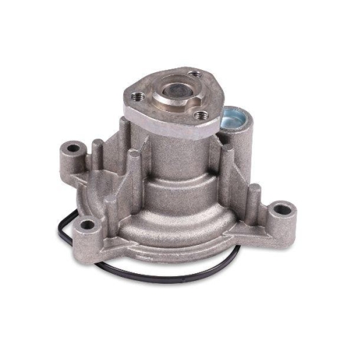 GK Wasserpumpe, Motorkühlung 980285