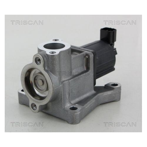 TRISCAN AGR-Ventil 8813 50015