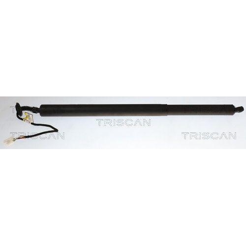 TRISCAN Gasfeder, Koffer-/Laderaum 8710 23322