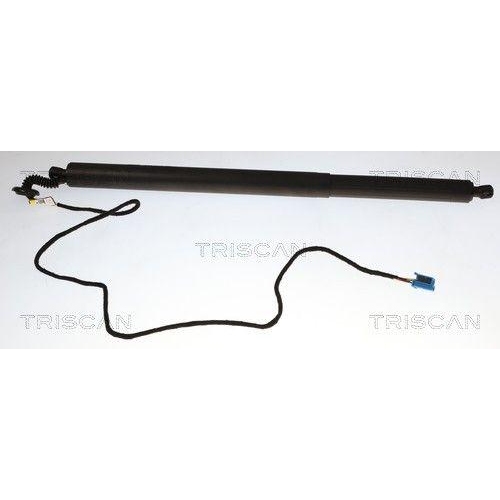 TRISCAN Gasfeder, Koffer-/Laderaum 8710 23323