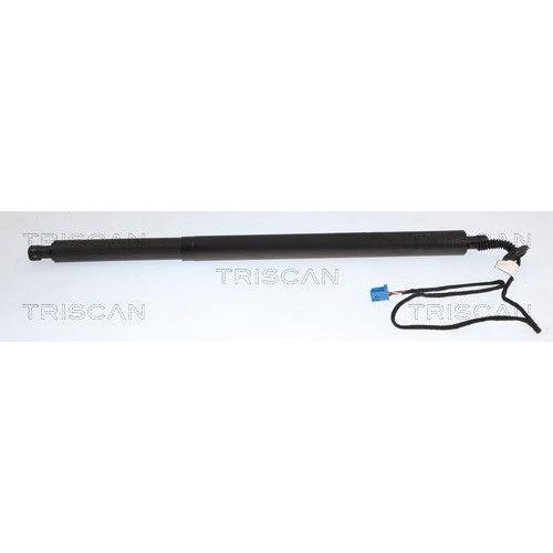 TRISCAN Gasfeder, Koffer-/Laderaum 8710 23324