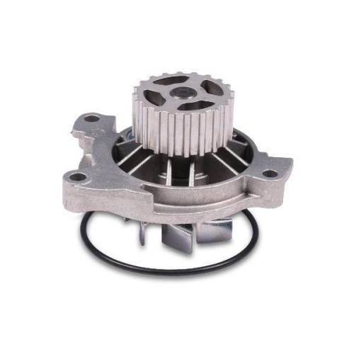 GK Wasserpumpe, Motorkühlung 980189