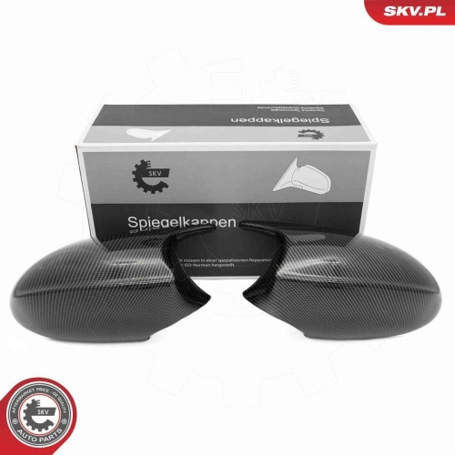 ESEN SKV Abdeckung, Außenspiegel