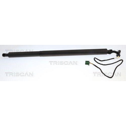TRISCAN Gasfeder, Koffer-/Laderaum 8710 23325