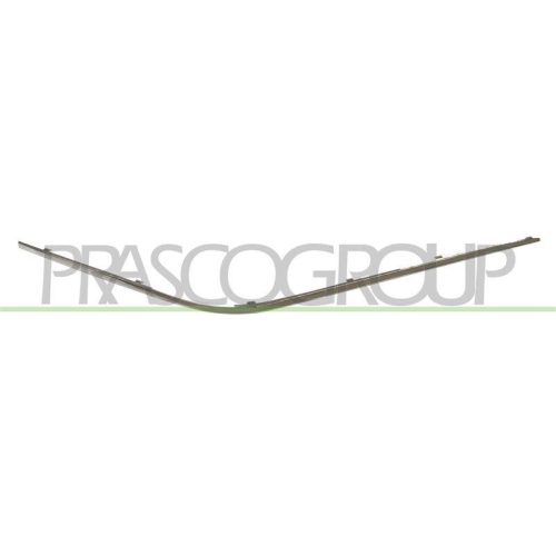 PRASCO Zier-/Schutzleiste, Sto&szlig;f&auml;nger ME0371247