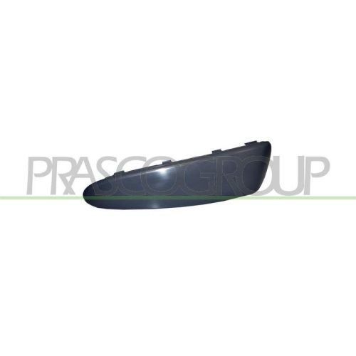 PRASCO Zier-/Schutzleiste, Sto&szlig;f&auml;nger Premium TY2011244