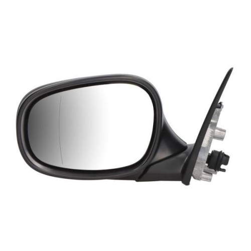 BLIC Außenspiegel 5402-05-2001047P